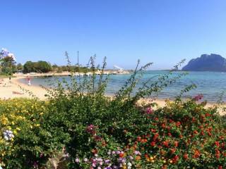 Appartamento in affitto a golfo aranci golfo di marinella - località marana - vilaggio baia de bahas