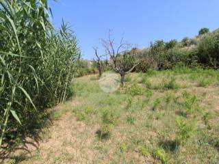 Terreno agricolo in vendita a fara in sabina strada provinciale 41c/c, 1