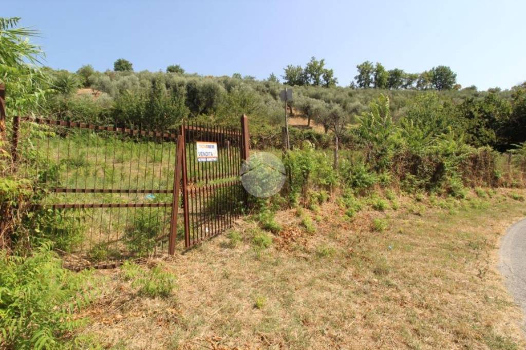 immagine annuncio 5 di 12