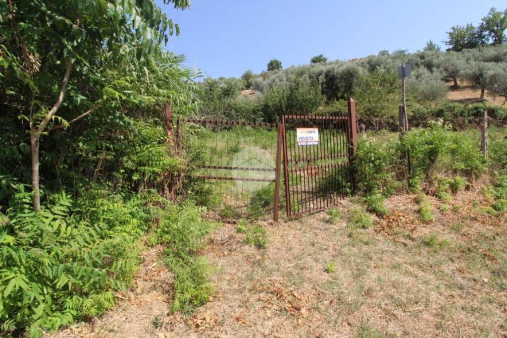 immagine annuncio 9 di 12