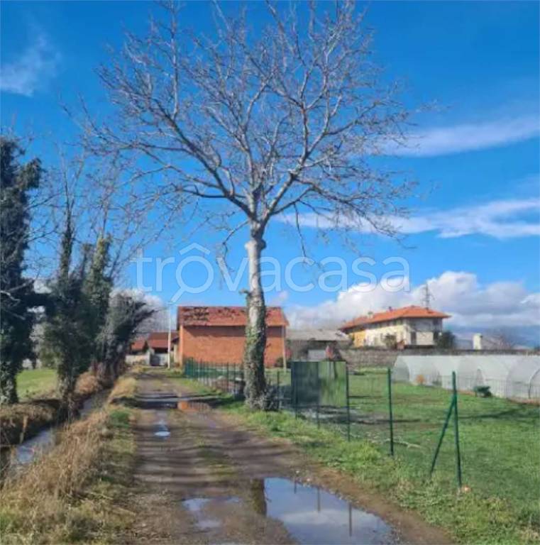 immagine annuncio 1 di 13