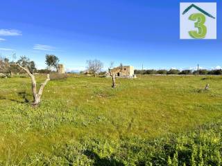 Terreno agricolo in vendita a corsano strada vicinale tanerre