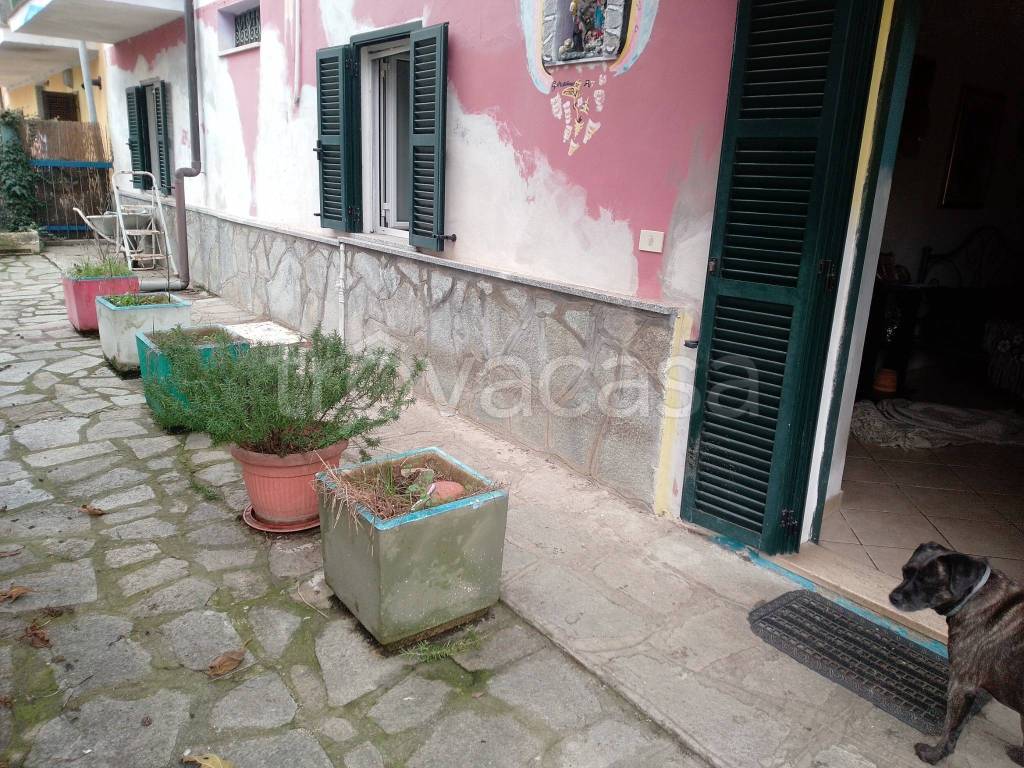 immagine annuncio 2 di 11