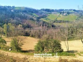 Terreno residenziale in vendita a cesena 