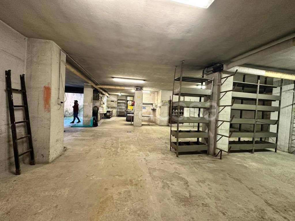 immagine annuncio 1 di 14