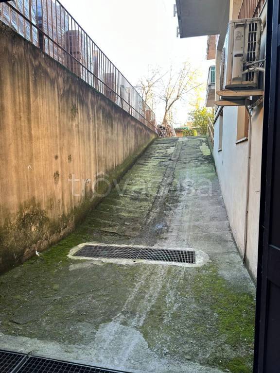 immagine annuncio 6 di 14