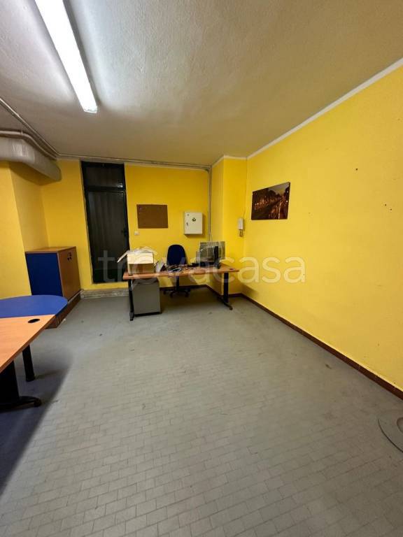 immagine annuncio 11 di 14