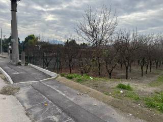 Terreno agricolo in vendita a palma campania 