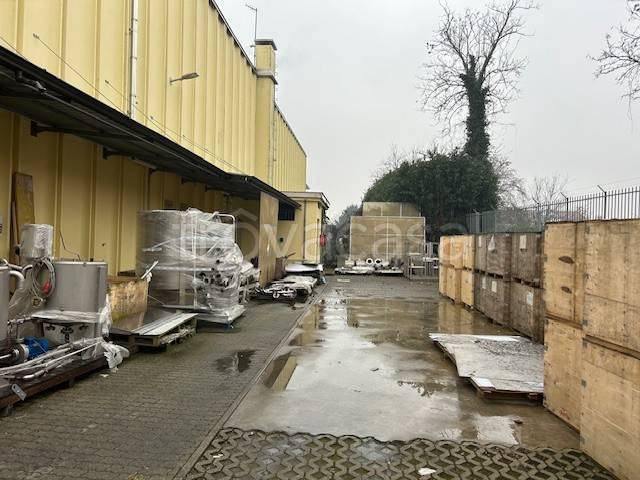 immagine annuncio 3 di 13