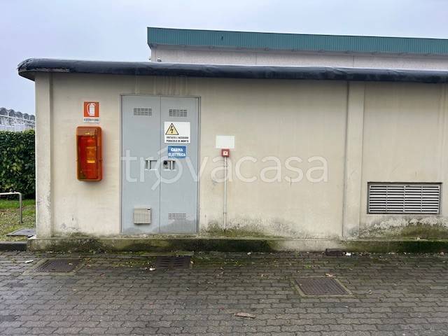 immagine annuncio 4 di 13