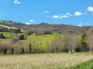 Terreno agricolo in vendita a urbania via santa maria in triara s.n.c.