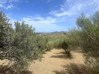 Terreno agricolo in vendita a collesano strada senza nome