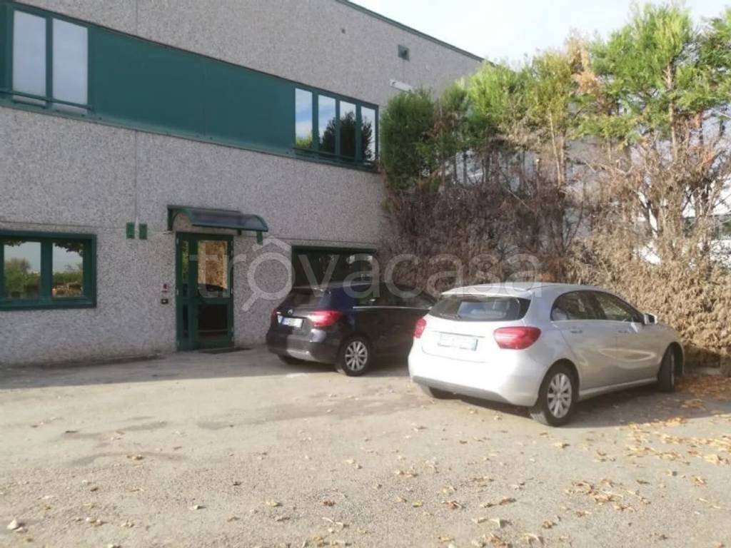 immagine annuncio 1 di 12