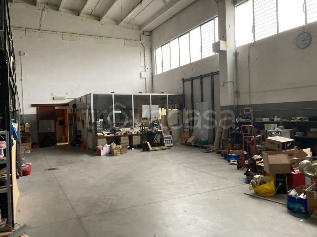 immagine annuncio 6 di 12