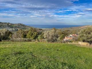 Terreno agricolo in vendita a collesano strada senza nome