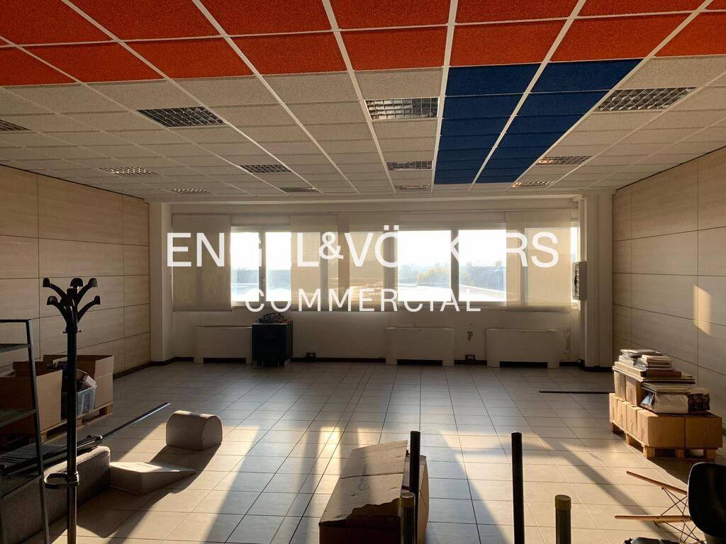immagine annuncio 2 di 14