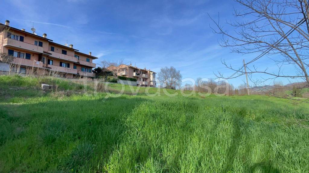 immagine annuncio 4 di 11