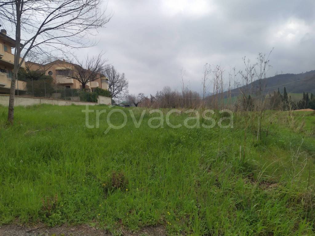 immagine annuncio 7 di 11