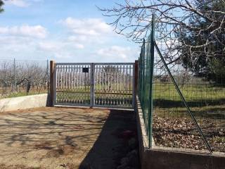 Terreno agricolo in vendita a trani contrada casamassima s.n.c.