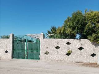 Terreno agricolo in vendita a trani contrada boccadoro