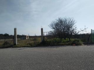 Terreno agricolo in vendita a trani contrada boccadoro