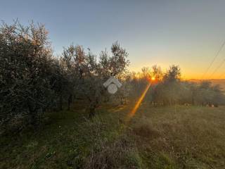 Casa indipendente in vendita a san gemini località cerreta, 60