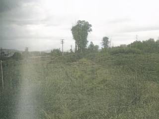 Terreno agricolo all'asta a latina strada torre la felce