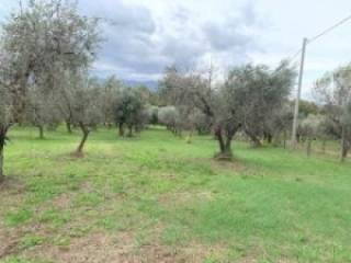 Terreno agricolo in vendita a gallicano nel lazio via grotte dell'acqua