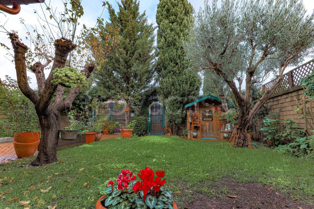immagine annuncio 6 di 15