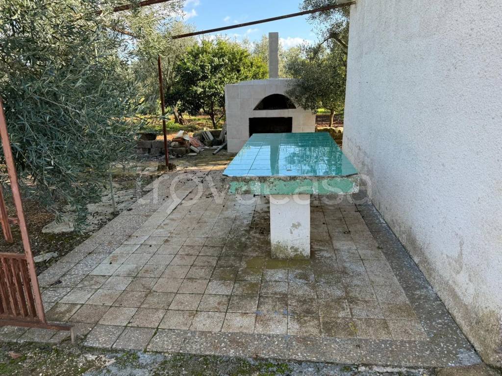 immagine annuncio 9 di 13