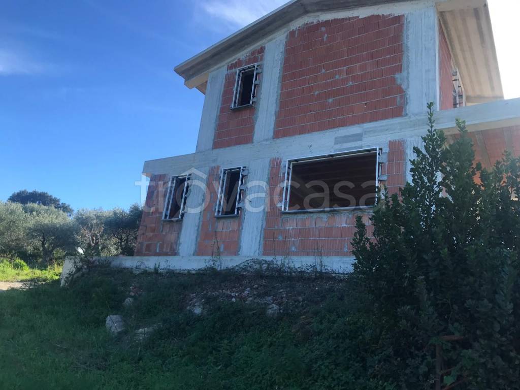 immagine annuncio 6 di 12