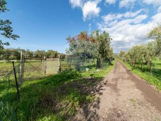 Terreno agricolo in vendita a motta sant'anastasia via terre nere, 161