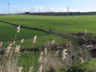 Terreno agricolo all'asta a sestu località corte pisanu