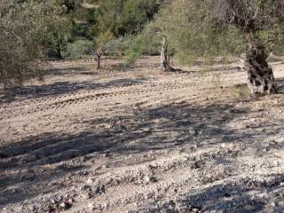 Terreno agricolo in vendita a noto strada provinciale favarotta-ritillini