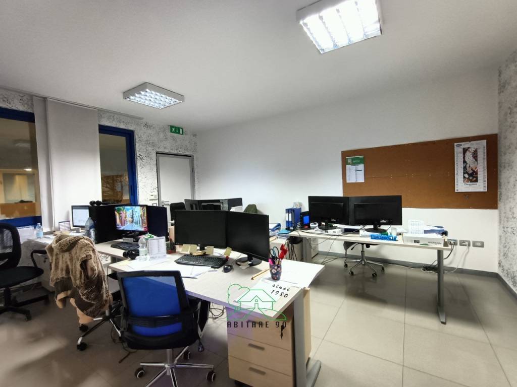 immagine annuncio 12 di 15