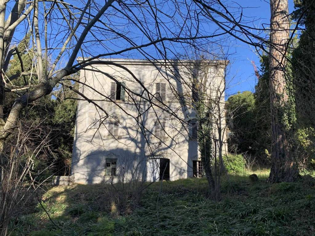 immagine annuncio 8 di 12