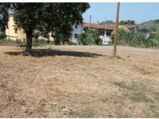 Terreno agricolo all'asta a massa via ortola