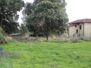 Terreno agricolo all'asta a massa via caldera