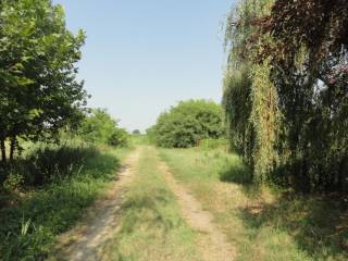 Terreno residenziale all'asta a turano lodigiano via brodolini (vicinanze), snc