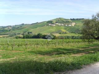 Terreno agricolo in vendita a silvi contrada gaudiosi