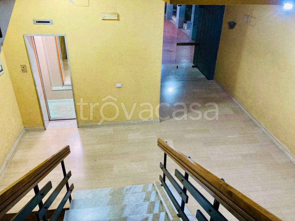 immagine annuncio 11 di 14