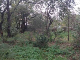 Terreno agricolo in vendita ad aci sant'antonio via edoardo pantano