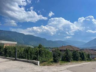 Terreno agricolo in vendita a predaia 