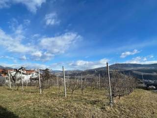 Terreno agricolo in vendita a ville d'anaunia 