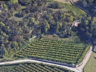 Terreno agricolo in vendita a brentonico 