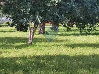 Terreno agricolo in vendita a comiso 