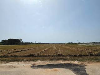 Terreno agricolo in vendita a diso strada vicinale della pardonise