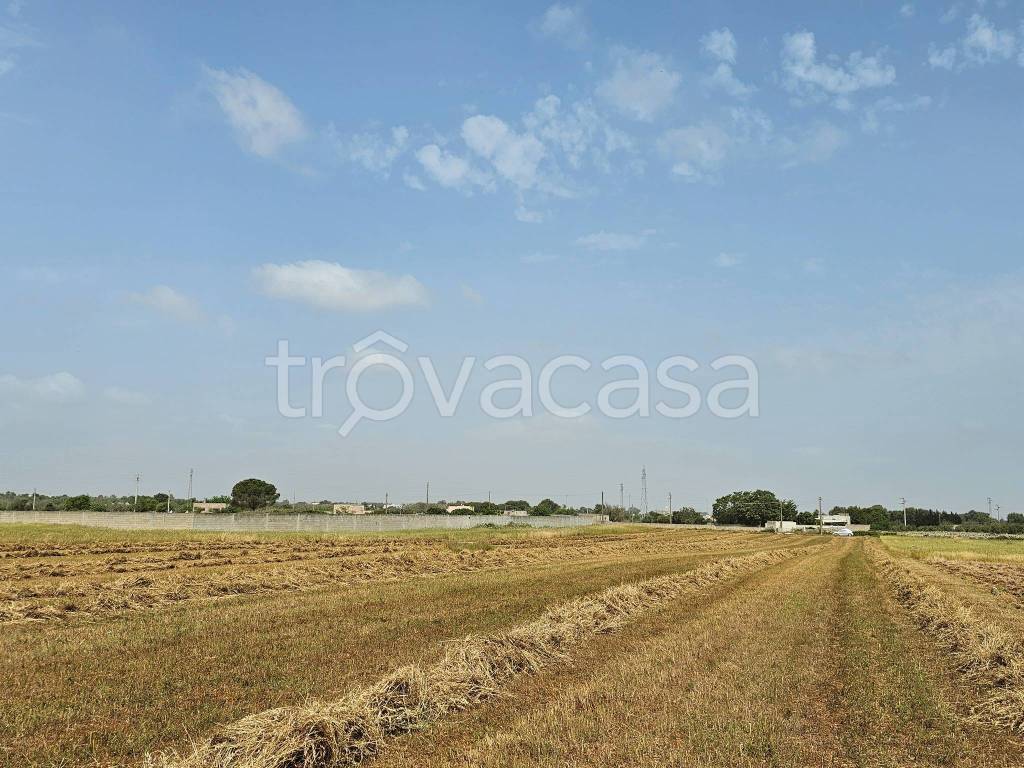 immagine annuncio 5 di 9