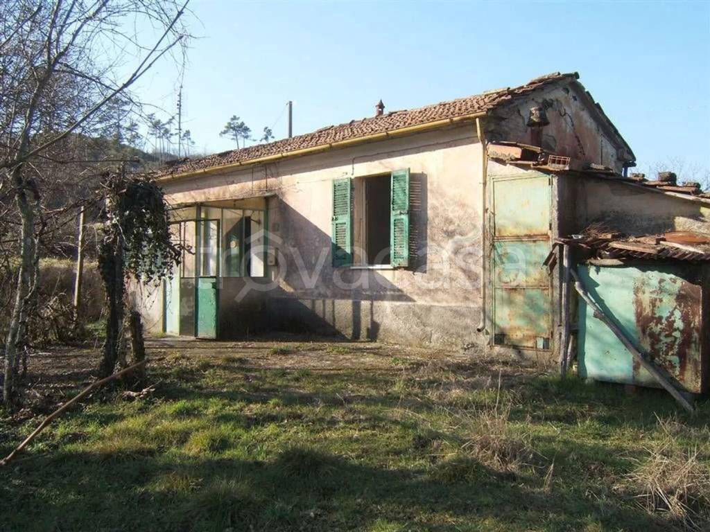 immagine annuncio 1 di 6