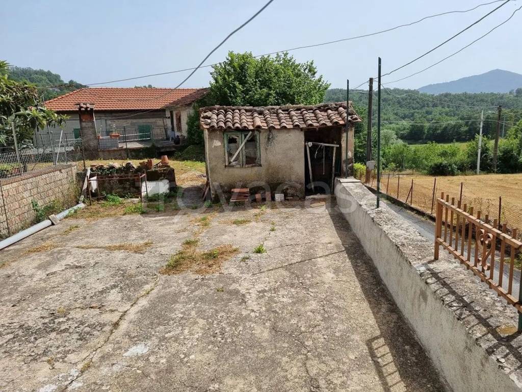 immagine annuncio 3 di 14